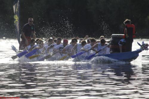 Drachenbootcup 2017  (157)