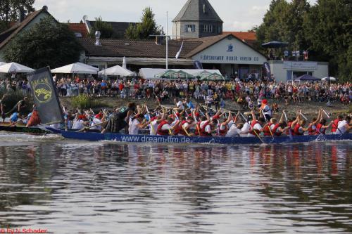 Drachenbootcup 2017  (169)