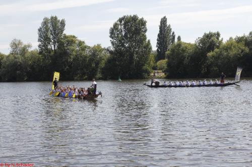 Drachenbootcup 2017  (64)