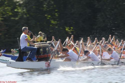 Drachenbootcup 2017  (88)