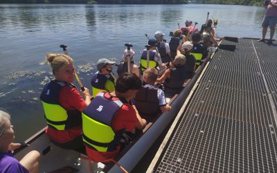 Junge Drachen erobern das Wasser